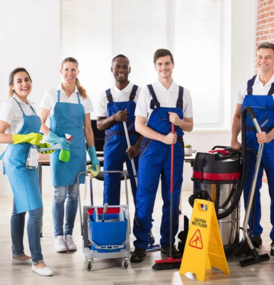 Sparkling Homes with Professional Domestic Cleaning in Edinburgh