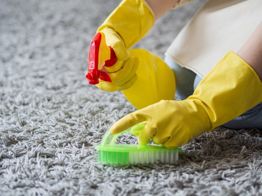 rug cleaning edinburgh